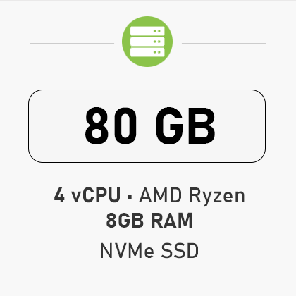 VPS - PLUS Pro 80 GB